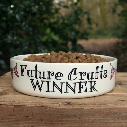 "Future Crufts Winner" dog bowl Mutts & Moggies > Dog bowls