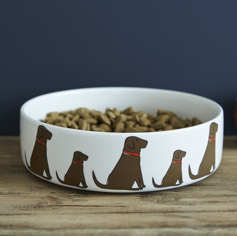 Chocolate Labrador Dog Bowl , Mischievous Mutts > Dog bowls , Chocolate Labrador