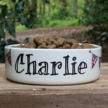 Personalised cat bowl