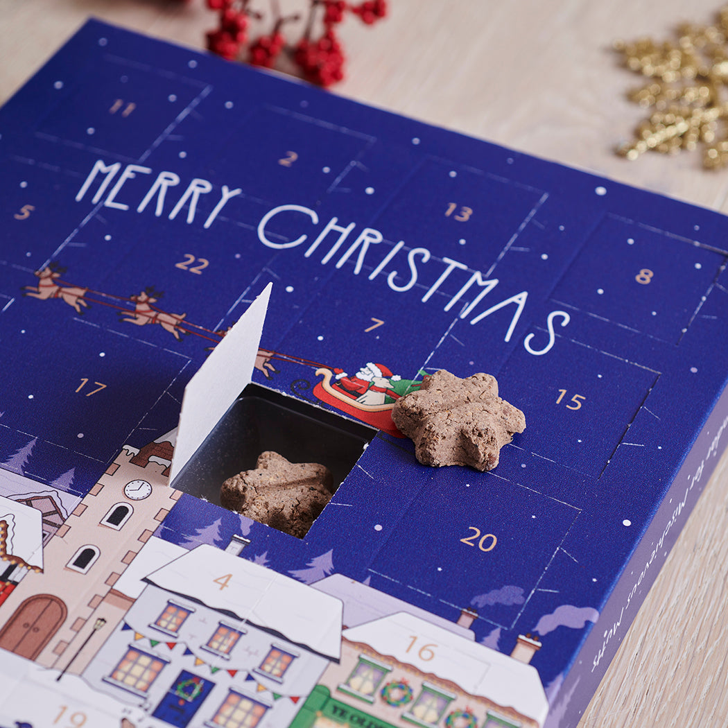 Open door of the Christmas Dog Treat Advent Calendar revealing a star-shaped dog treat inside, part of the daily Christmas countdown