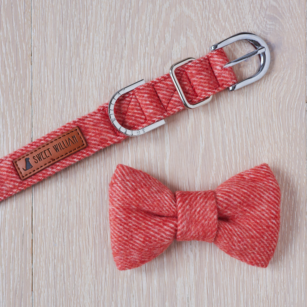 Orange tweed dog bow tie displayed with its matching Sweet William Designs collar and polished silver fittings