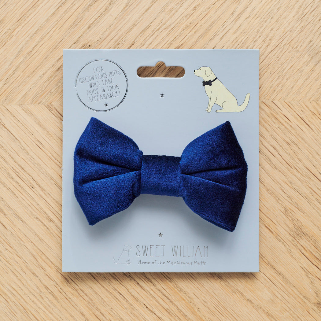 Navy velvet dog bow tie displayed on its Sweet William backing card, a perfect gift for a dog’s birthday or Christmas