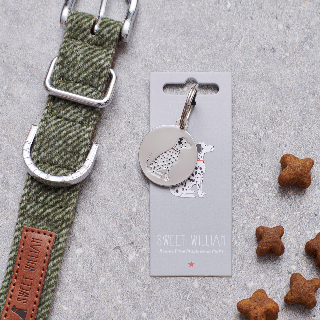 Dalmatian personalised dog tag on Sweet William Designs backing card — silver-plated brass with illustrated Dalmatian, dog lover gift