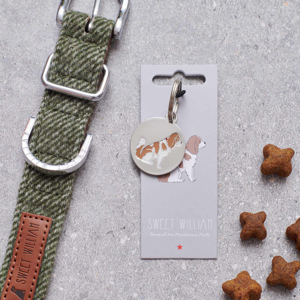 Cavalier King Charles Spaniel dog ID tag — silver-plated brass with signature Cavalier illustration, personalised dog tag by Sweet William Designs