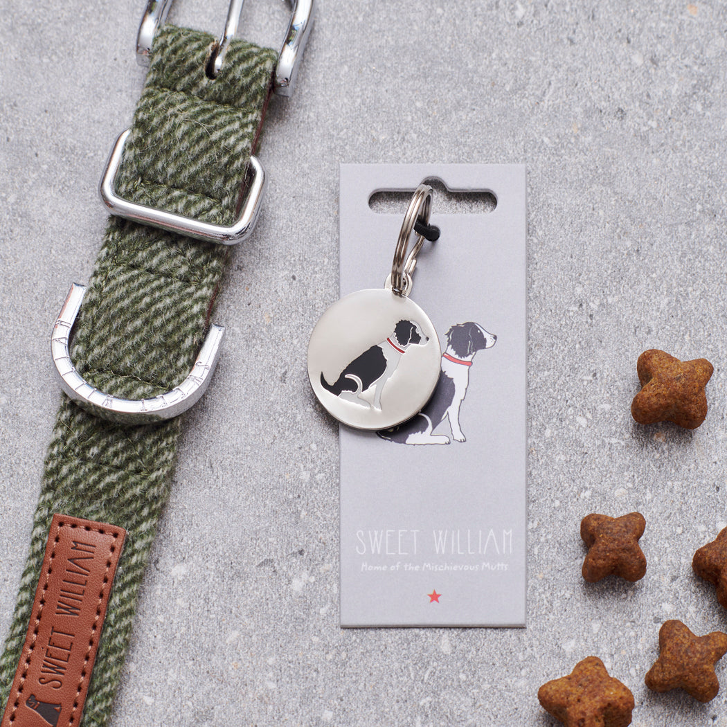 Black & White Springer Spaniel personalised dog tag on Sweet William Designs backing card — silver-plated brass with illustrated Springer Spaniel, dog lover gift