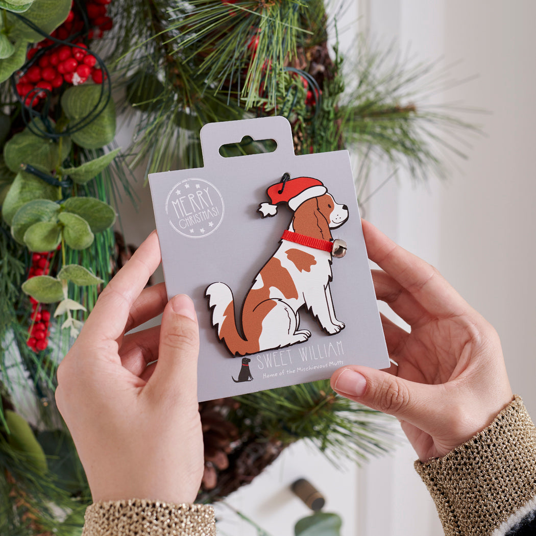 Cavalier King Charles Spaniel Christmas tree decoration held in hands on backing card — Father Christmas hat and jingle bell collar, dog lover gift by Sweet William Designs