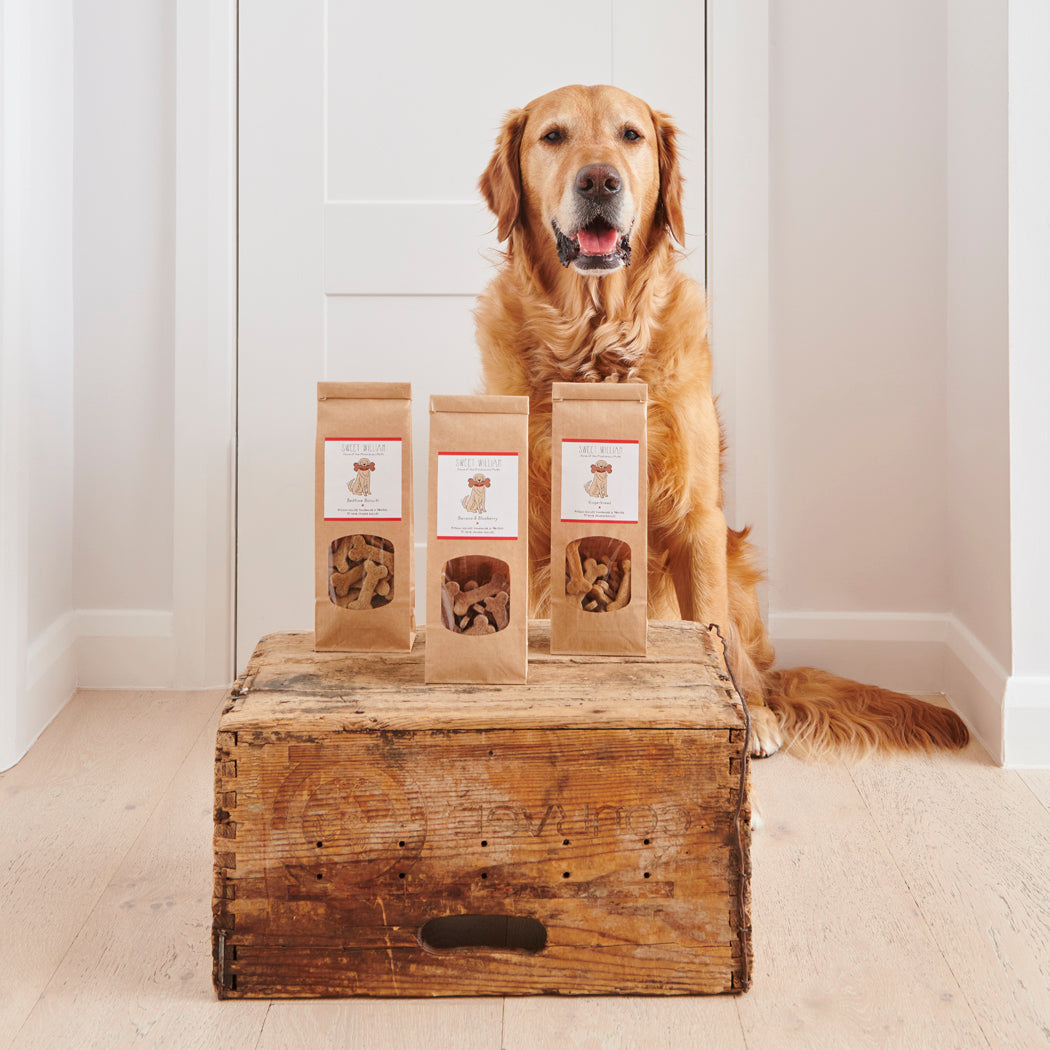 Cooper the Golden Retriever with Sweet William Designs dog treat range — Banana & Blueberry, Calming Bedtime, and Gingerbread natural dog treats