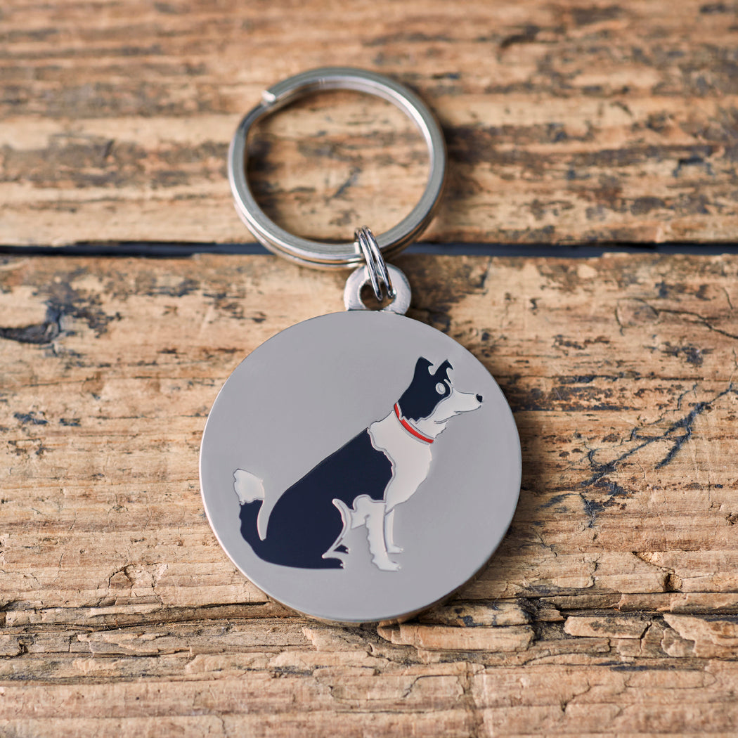 Close-up of Border Collie dog ID tag — silver-plated brass with illustrated Border Collie design, personalised dog tag by Sweet William Designs