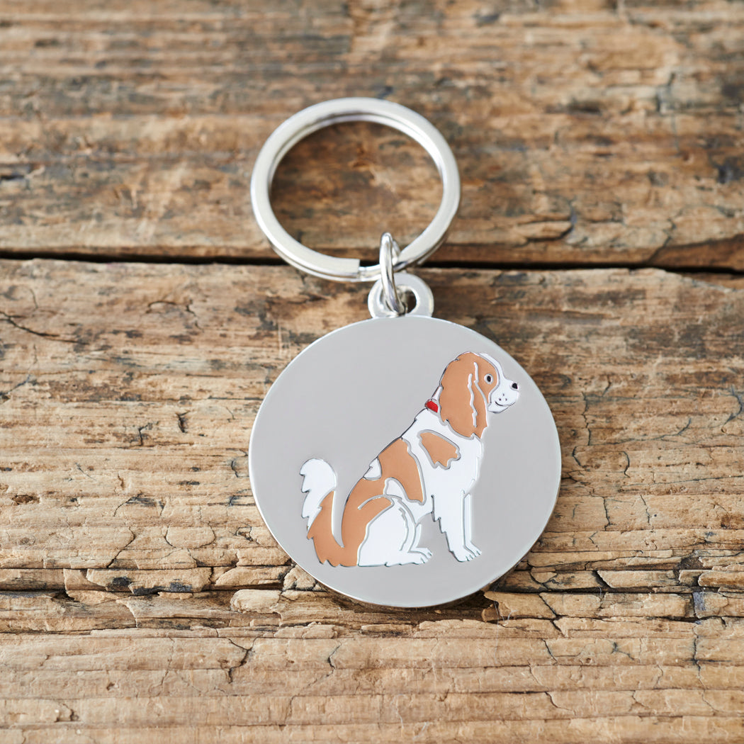 Close-up of Cavalier King Charles Spaniel dog ID tag — silver-plated brass with signature Cavalier illustration, personalised dog tag by Sweet William Designs