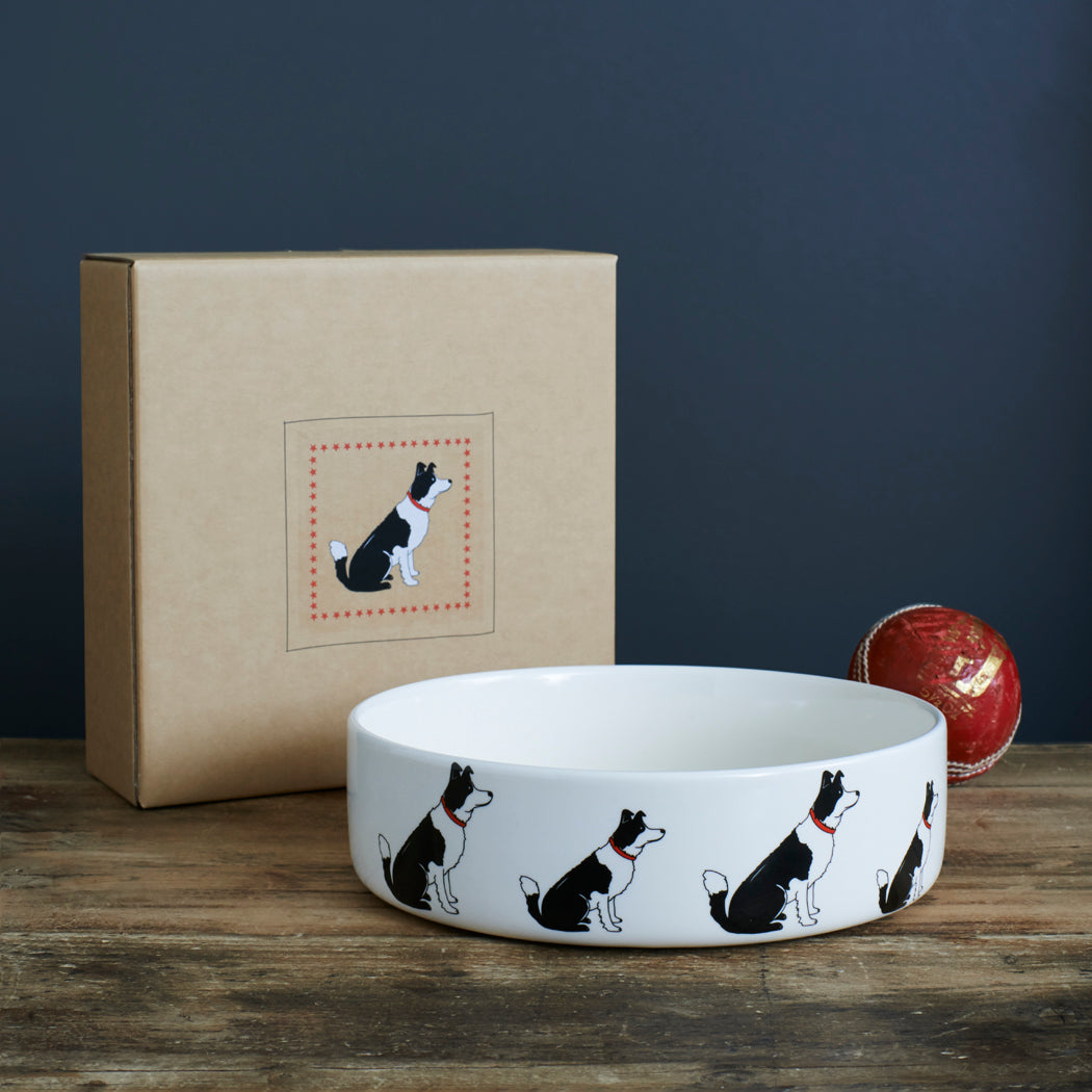Border Collie dog bowl with kraft gift box — ceramic Border Collie design, perfect gift for Border Collie lovers by Sweet William Designs