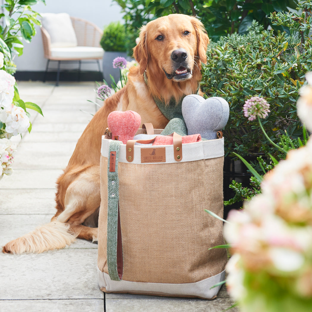Golden Retriever beside a jute bag filled with grey, green and orange tweed dog bone toys and matching accessories