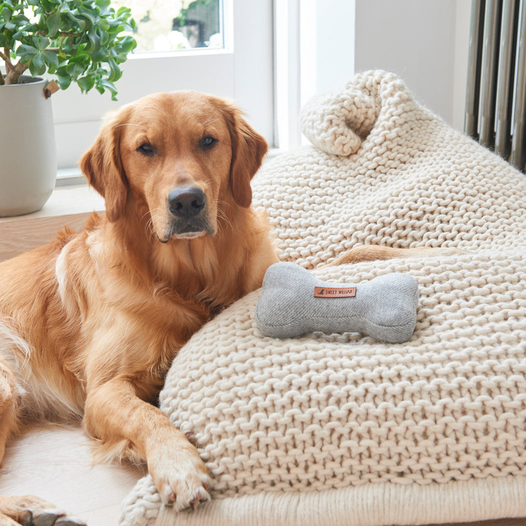 Golden Retriever relaxing beside our grey tweed dog bone toy on a chunky white blanket