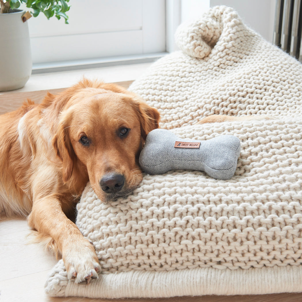 Golden Retriever resting its head beside a grey tweed dog bone toy on a cosy knitted blanket