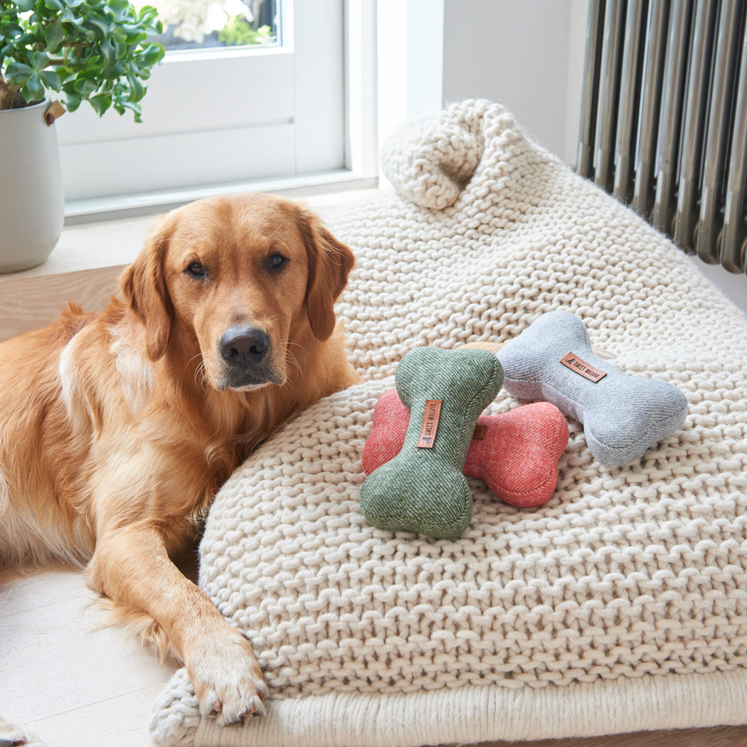 Golden Retriever beside green, grey and orange tweed dog bone toys, a perfect dog gift for playtime and cosy days at home