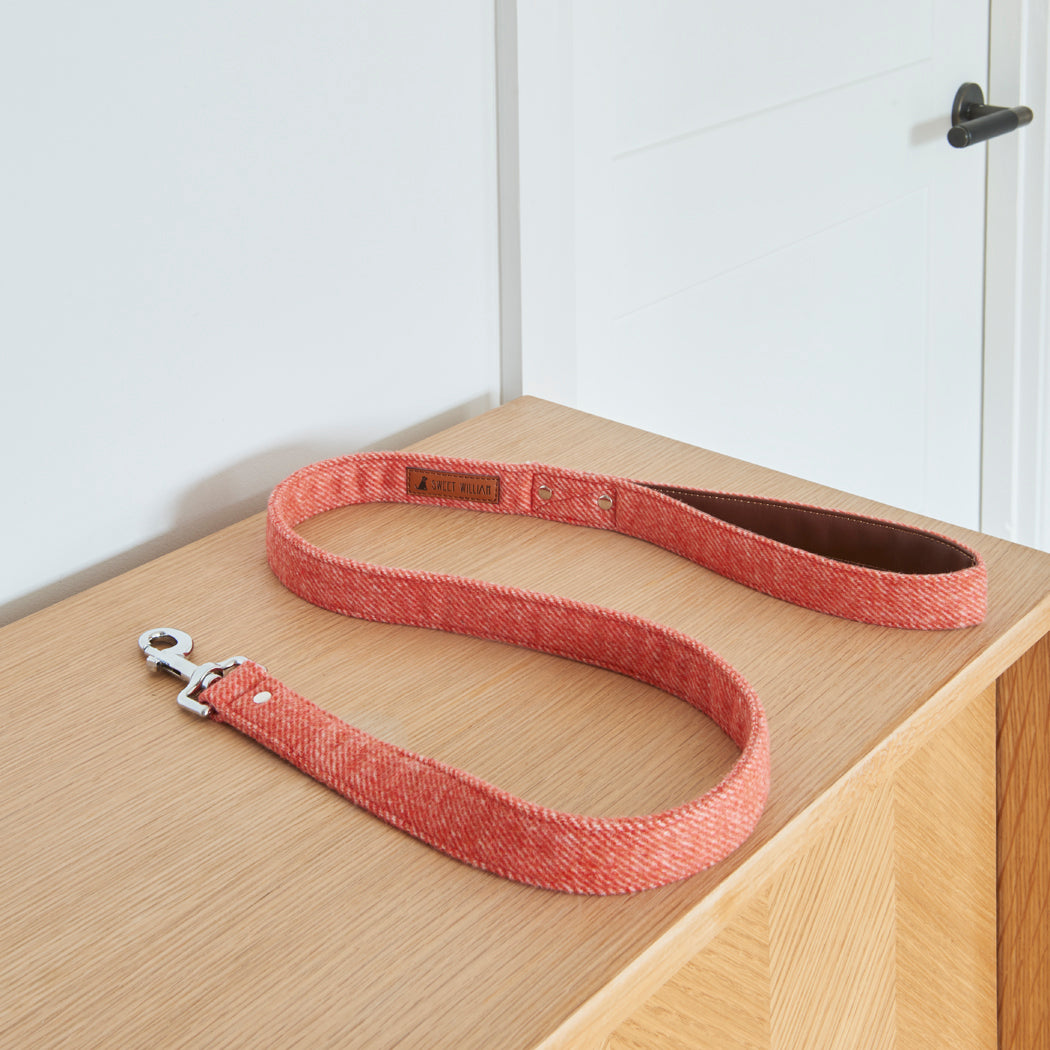 Orange tweed dog lead with vegan leather-lined handle and silver clasp