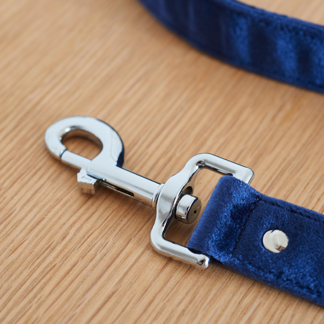 Close-up of the silver clasp and soft navy velvet fabric of the Sweet William dog lead