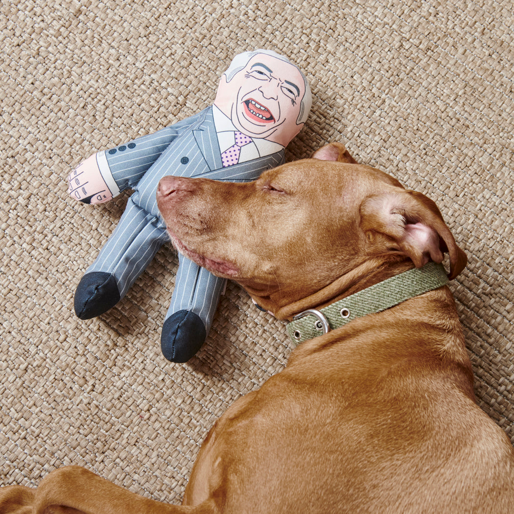 Vizsla resting beside Nigel Farage parody dog toy — funny squeaky political dog toy, gift for dog lovers