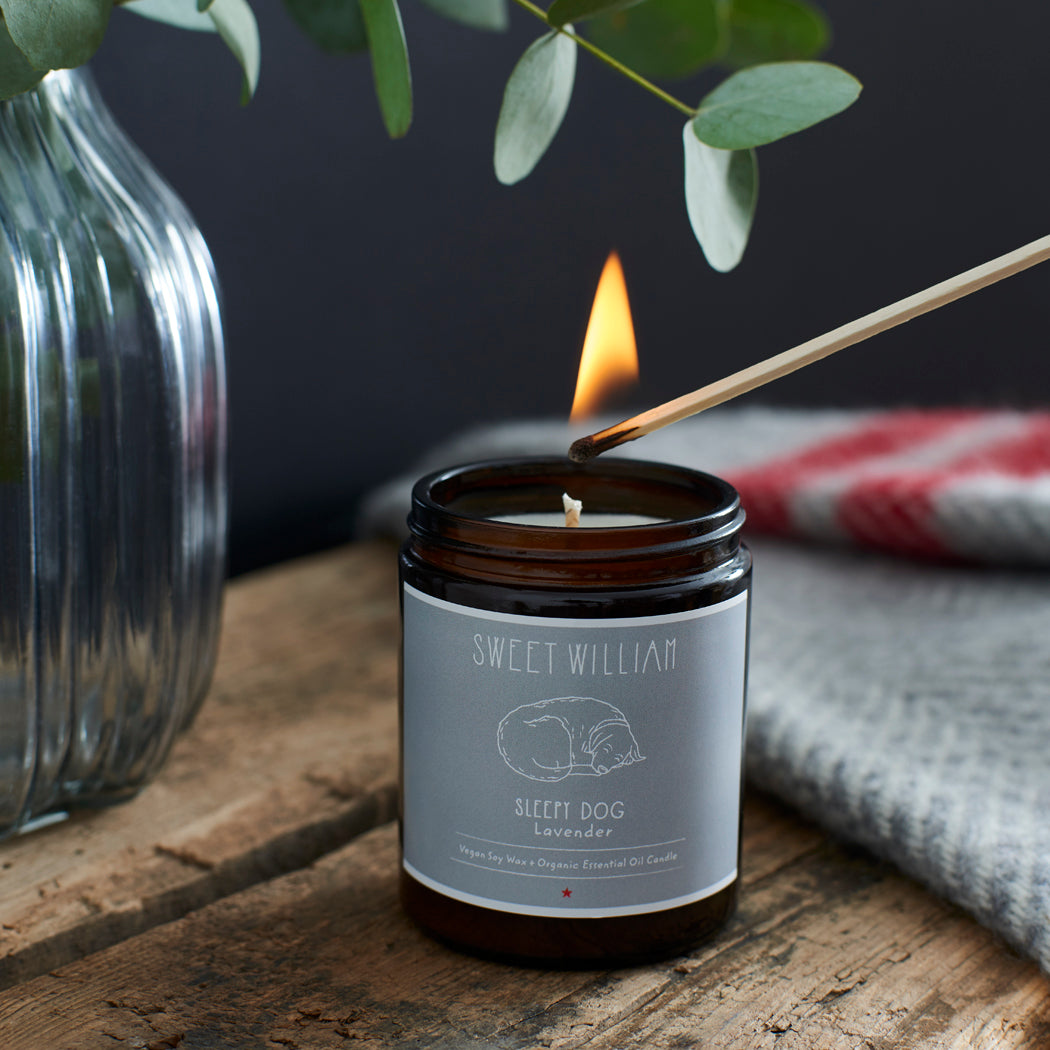 Sleepy Dog Organic Candle with match — hand poured lavender soy candle, calming gift for dog lovers