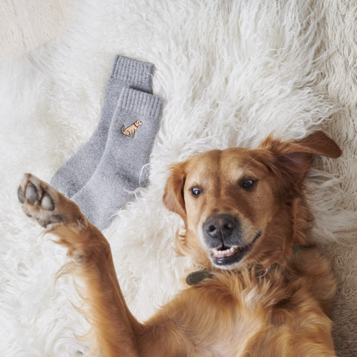 Golden Retriever with matching embroidered dog walking socks — Sweet William Designs