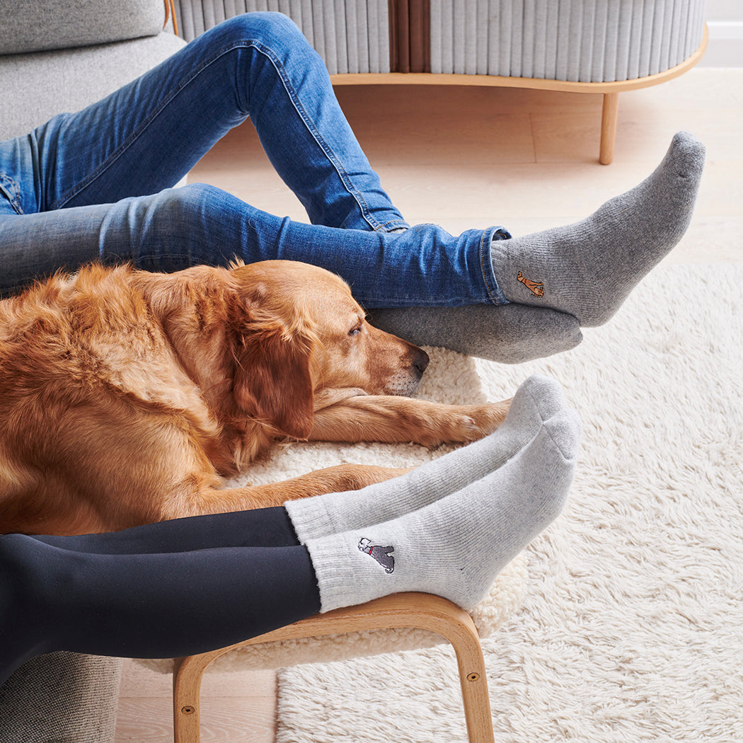 Sweet William Designs dog walking socks family collection