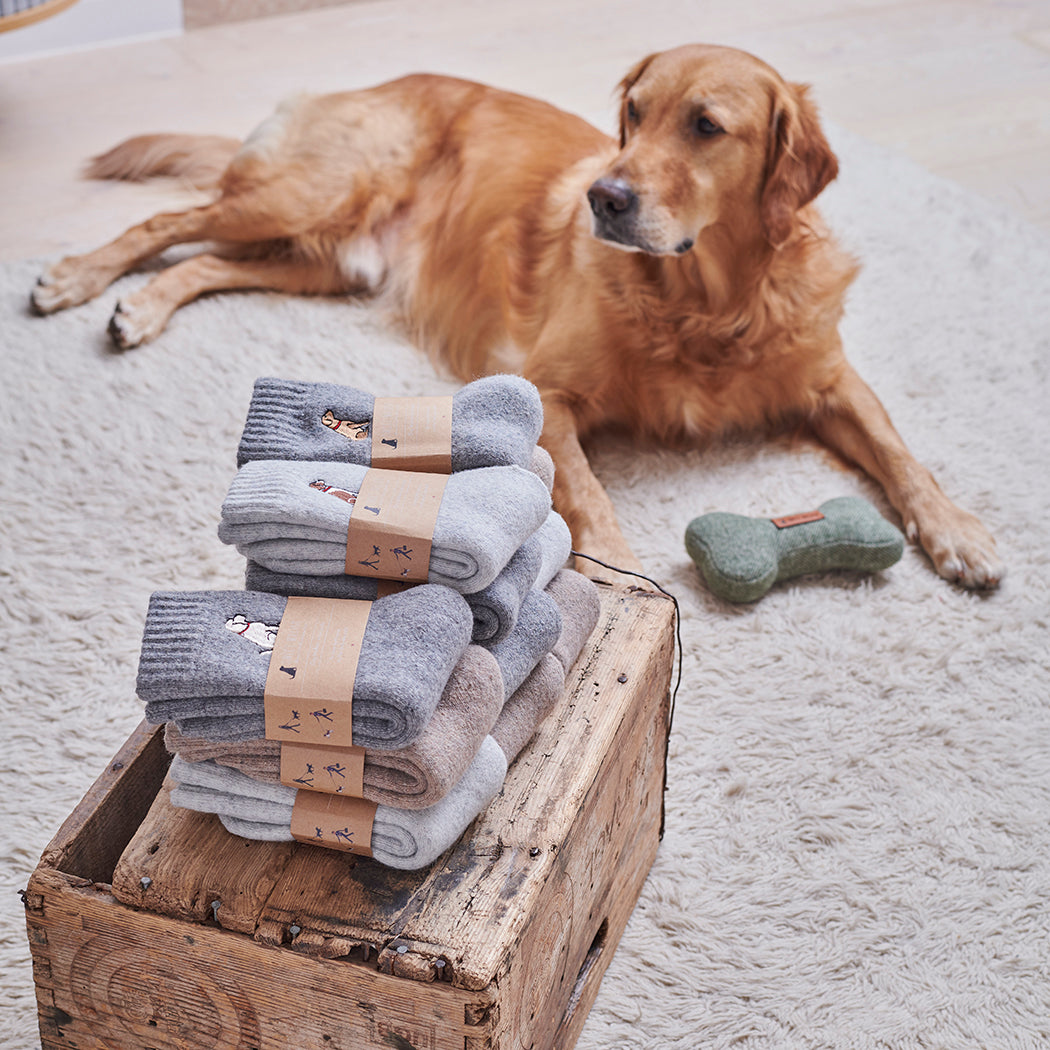 Sweet William Designs Dalmatian dog walking socks — embroidered wool blend socks, group lifestyle shot