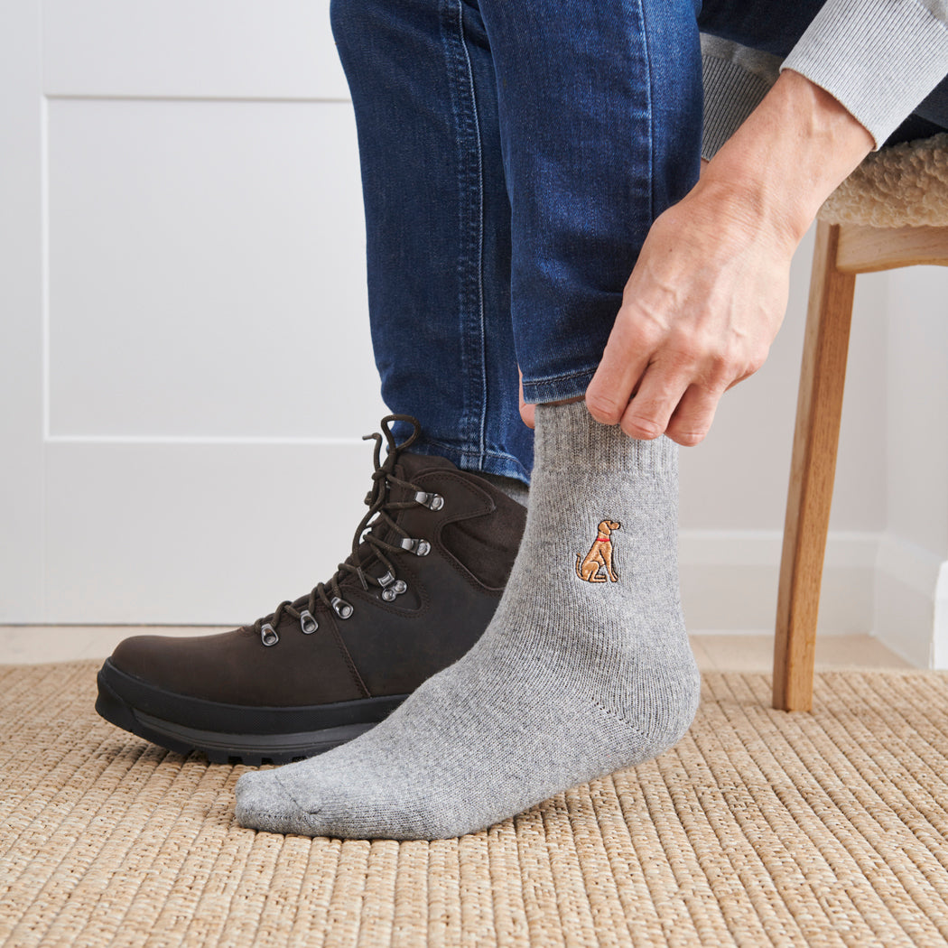 Man wearing Vizsla dog walking socks — embroidered wool blend, unisex gift for dog lovers