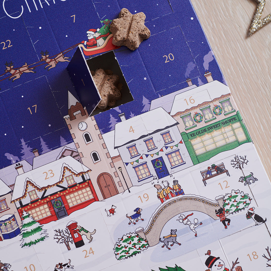 Close-up of Christmas Dog Treat Advent Calendar with a door open to reveal a star-shaped dog treat, showing the festive countdown design