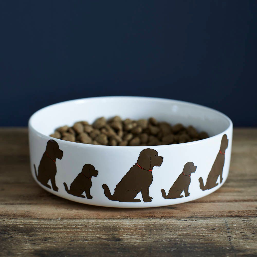 Chocolate Cockapoo / Labradoodle ceramic dog bowl — signature illustration, dishwasher safe dog lover gift by Sweet William Designs