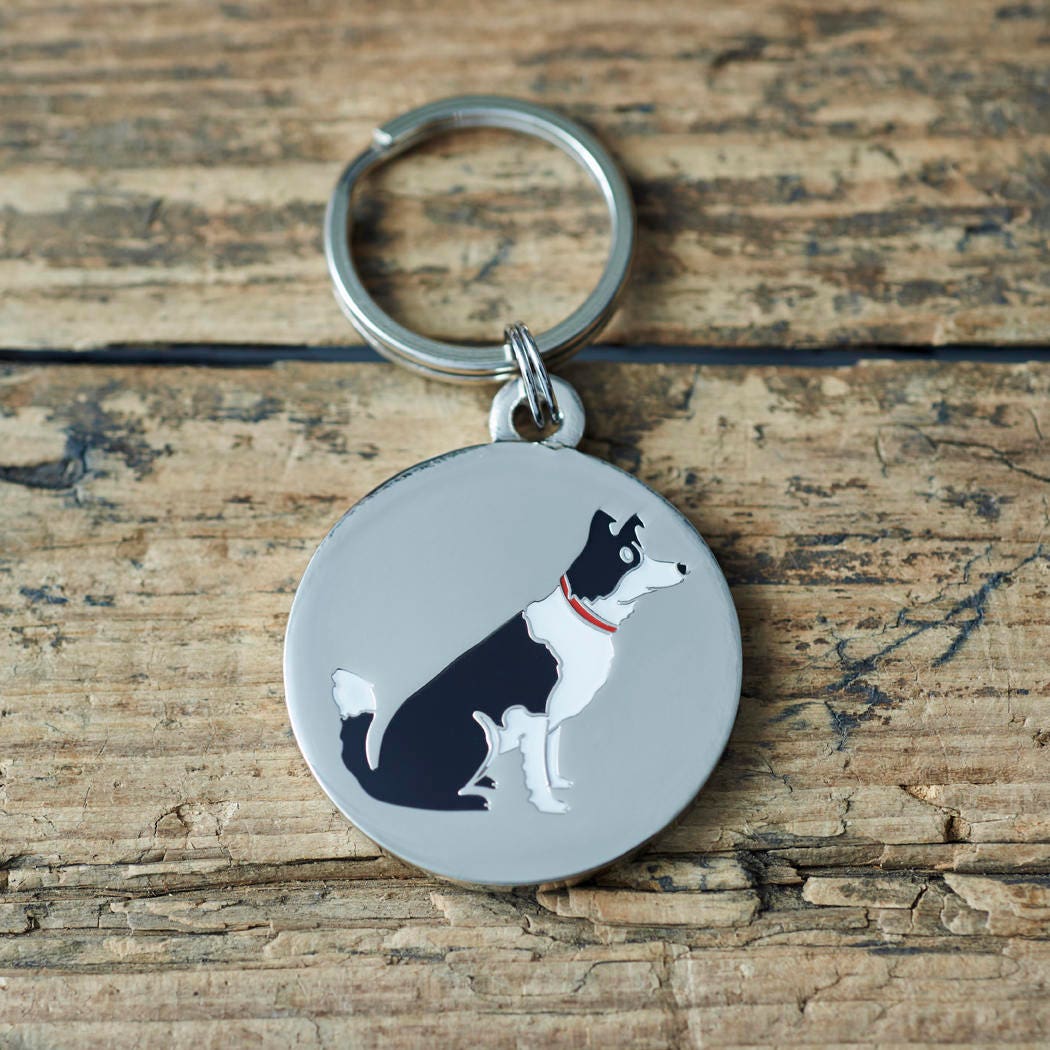 Close-up of Border Collie dog ID tag — silver-plated brass with illustrated Border Collie design, personalised dog tag by Sweet William Designs