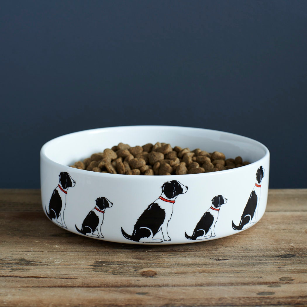 Black & White Springer Spaniel dog bowl with signature illustration — ceramic dog lover gift by Sweet William Designs