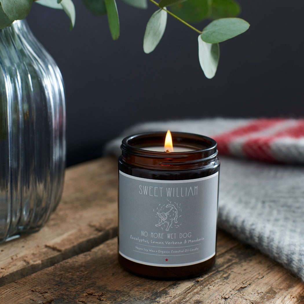 No More Wet Dog organic candle gift set — soy candle in glass jar, thoughtful gift for dog owners by Sweet William Designs