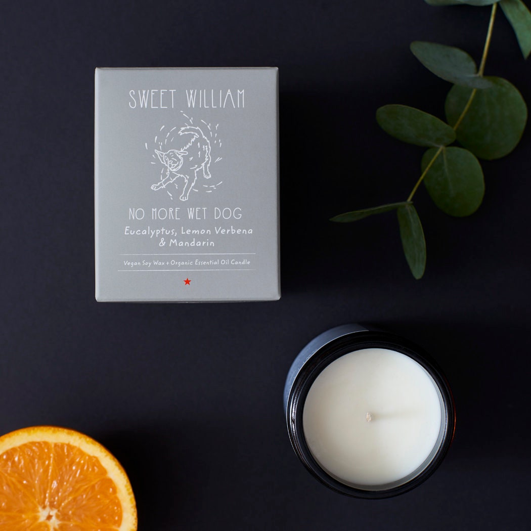 No More Wet Dog organic candle — hand-poured soy candle in a glass jar, dog lover gift by Sweet William Designs