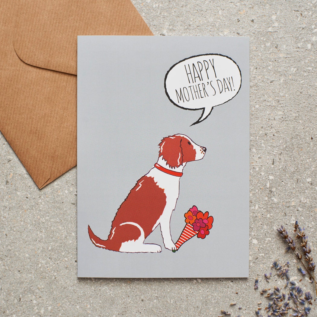 Springer Spaniel Mother's Day card featuring illustrated Liver & White Springer Spaniel holding flowers — blank inside with optional handwritten message, perfect gift for dog mums