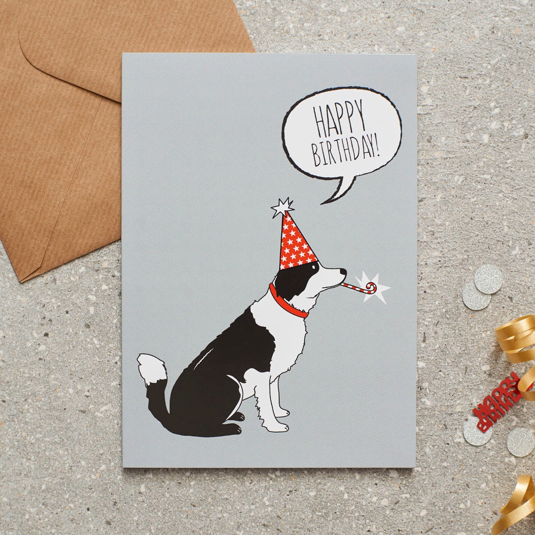 Border Collie birthday card with illustrated dog design — blank inside, FSC-certified, designed and made in England by Sweet William Designs