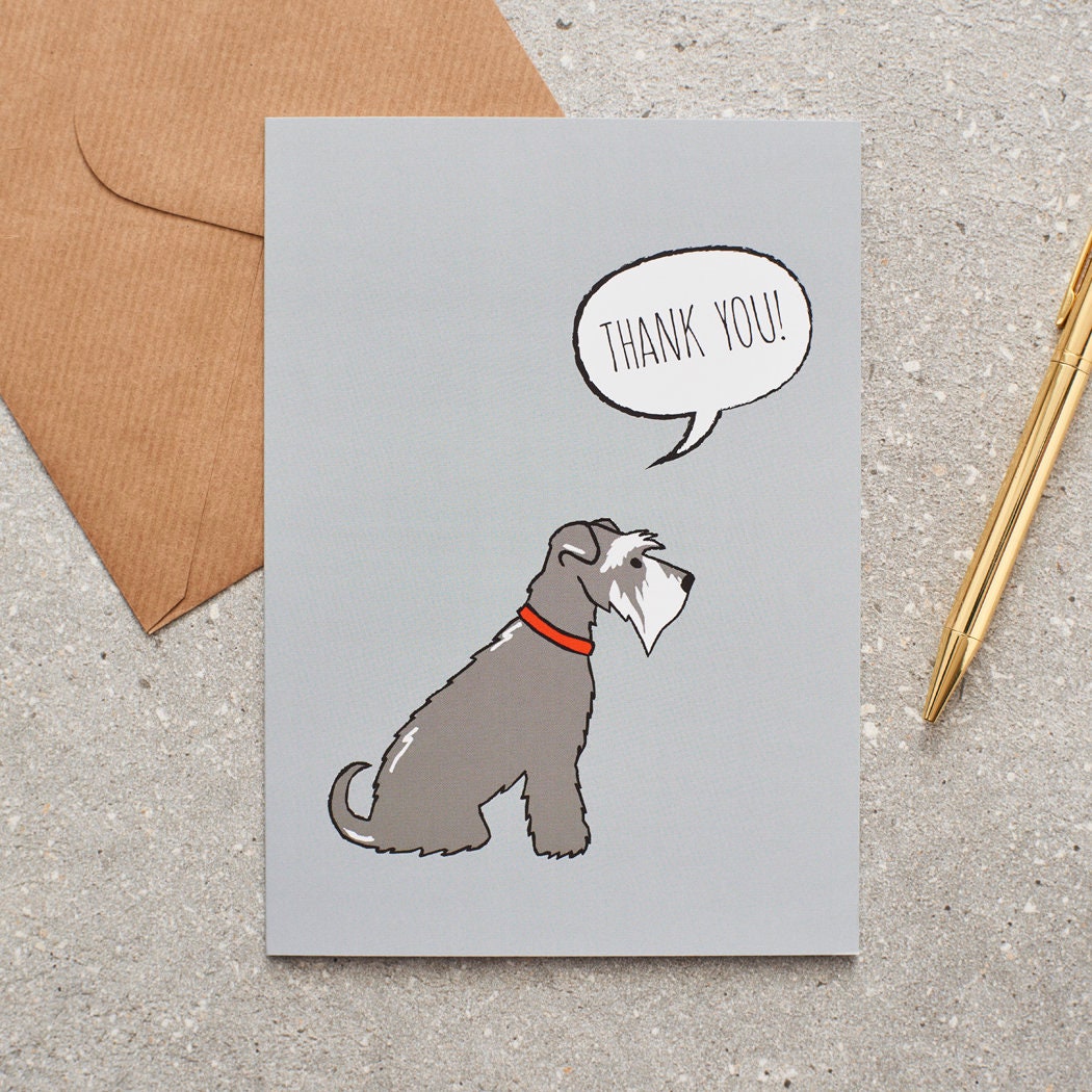 Sweet William Designs Salt & Pepper Schnauzer thank you card showing a red-collared Schnauzer with “thank you!” in a speech bubble, photographed beside a brown envelope and gold pen