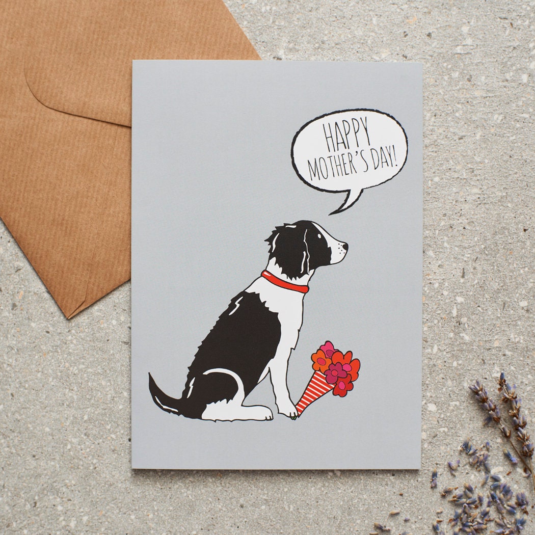 Springer Spaniel Mother's Day card featuring illustrated Black & White Springer Spaniel holding flowers — blank inside with optional handwritten message, perfect gift for dog mums