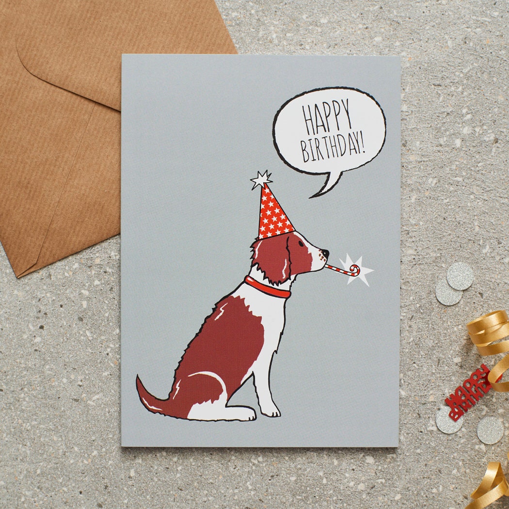 Liver & White Springer Spaniel birthday card with illustrated dog design — blank inside, FSC-certified, designed and made in England by Sweet William Designs