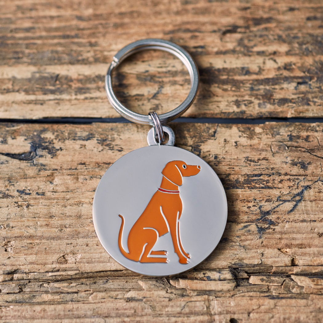 Close-up of Vizsla dog ID tag — silver-plated brass with illustrated Vizsla design, personalised dog tag by Sweet William Designs
