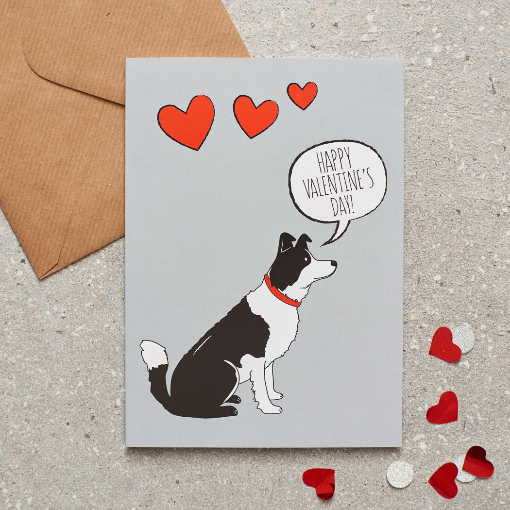 Border Collie Valentine's Day card — illustrated dog lover greeting card by Sweet William Designs