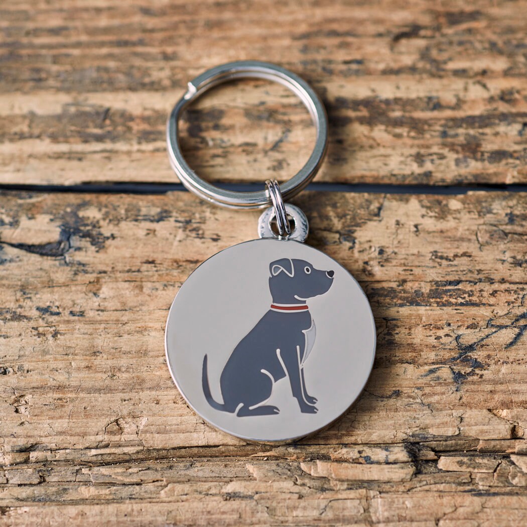 Close-up of Staffordshire Bull Terrier dog ID tag — silver-plated brass with illustrated Staffie design, personalised dog tag by Sweet William Designs