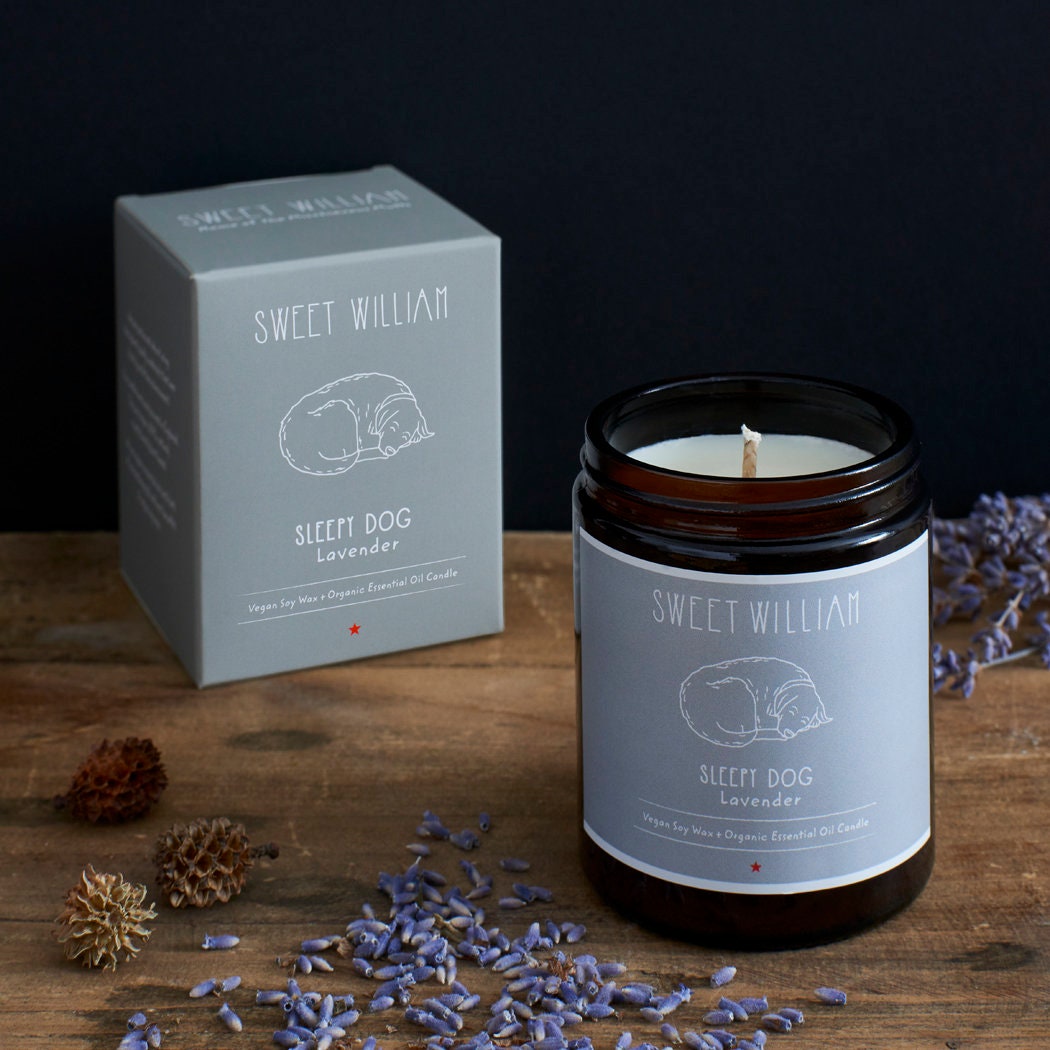 Sleepy Dog Candle close-up — 100% natural vegan soy wax, organic British lavender essential oil