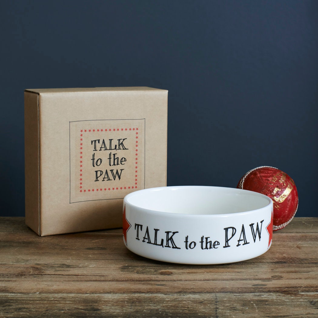 White porcelain “Talk to the Paw” cat bowl with a kraft gift box and red ball on a wooden table