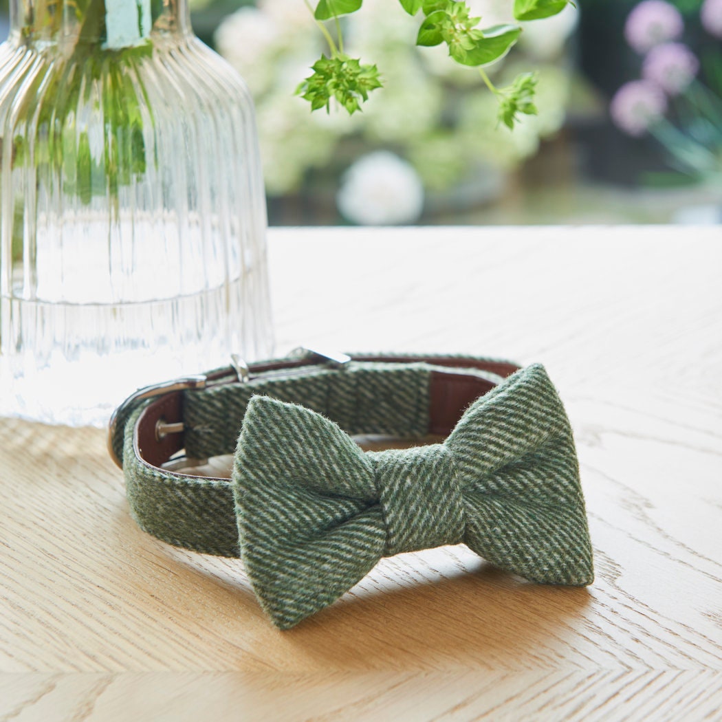Green tweed dog bow tie