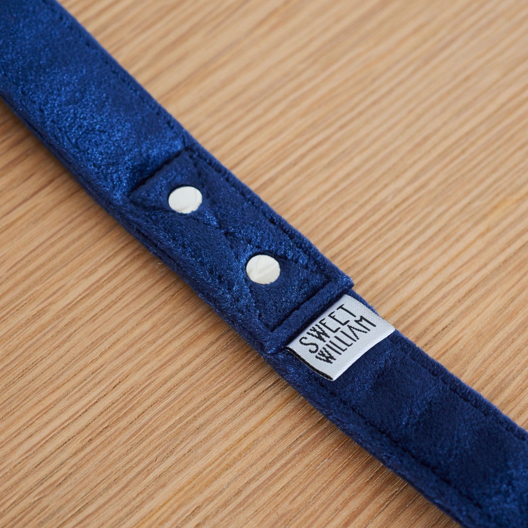 Close-up of the Sweet William label and silver studs on the navy velvet dog lead