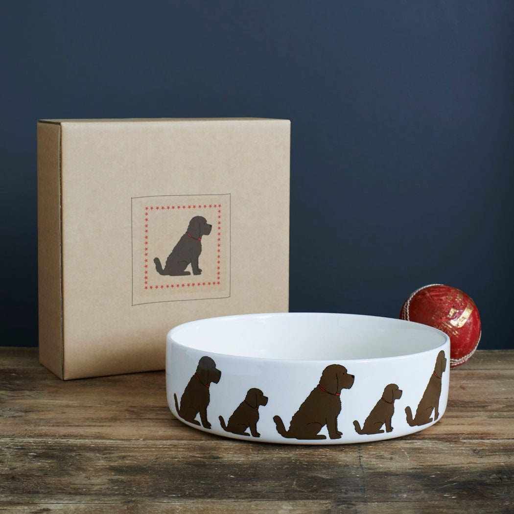 Chocolate Cockapoo / Labradoodle ceramic dog bowl with kraft gift box — thoughtful gift for Cockapoo lovers by Sweet William Designs