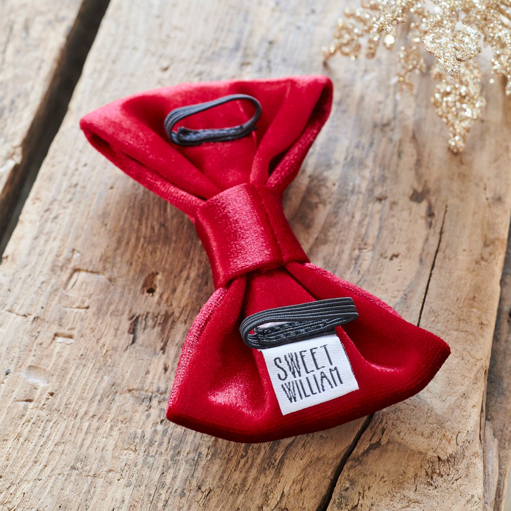 The reverse of a rich red velvet dog bow tie, showing the elastic collar loops and Sweet William label, perfect for gifting