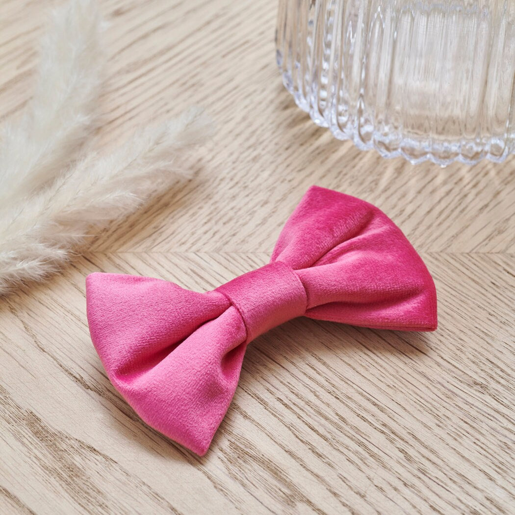 Bright pink velvet dog bow tie on a wooden table, a cheerful touch for a dog who likes to dress up