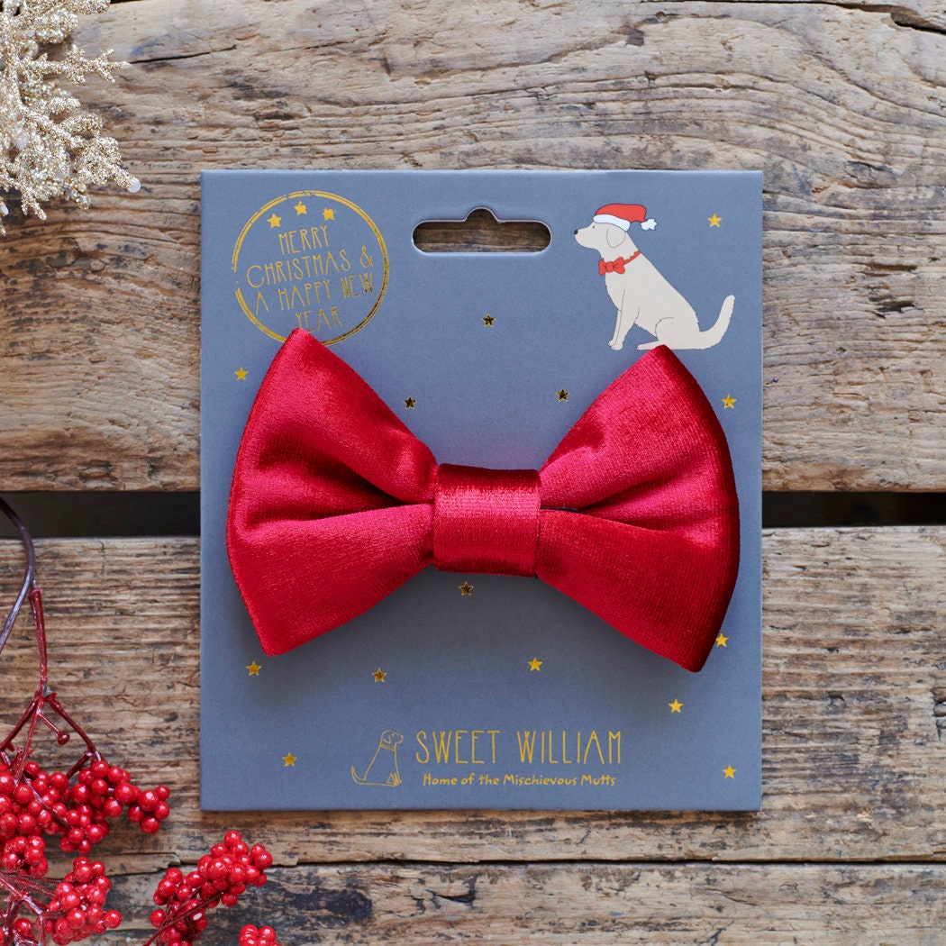 A rich red velvet dog bow tie displayed on its Sweet William Christmas backing card, a thoughtful gift for a much-loved dog