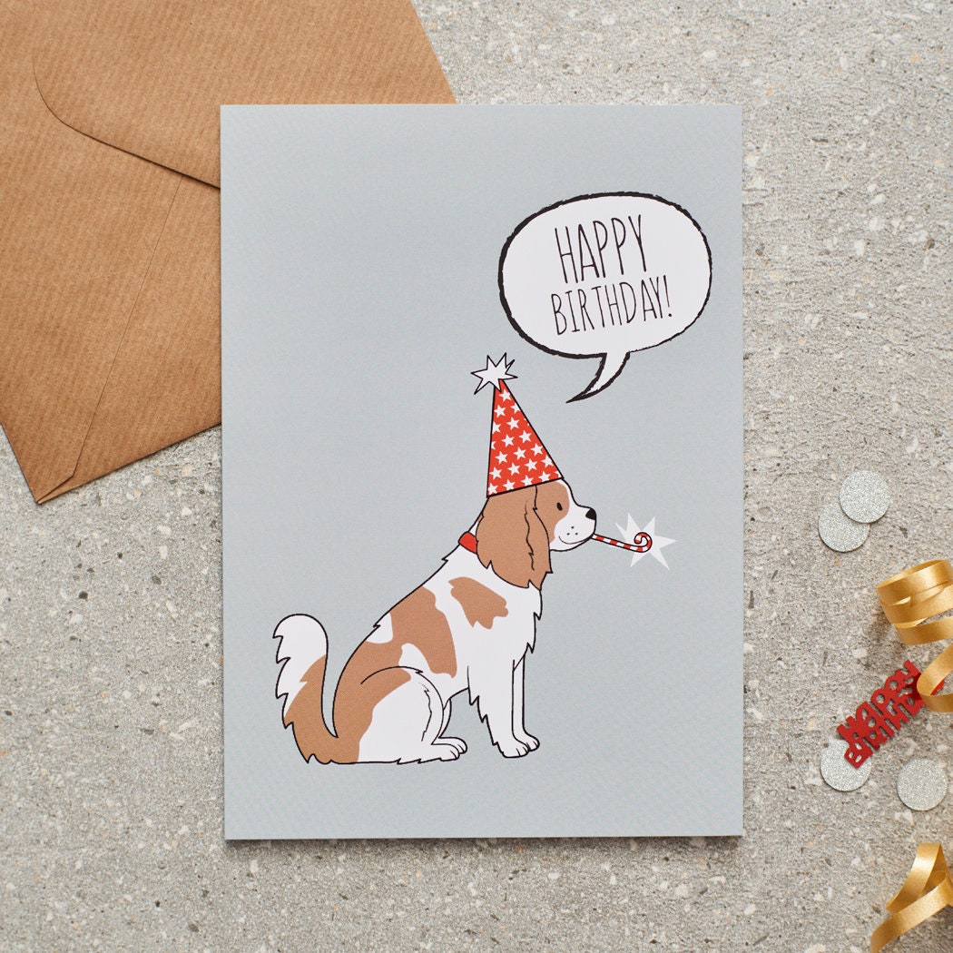 Cavalier King Charles Spaniel birthday card with illustrated dog design — blank inside, FSC-certified, designed and made in England by Sweet William Designs