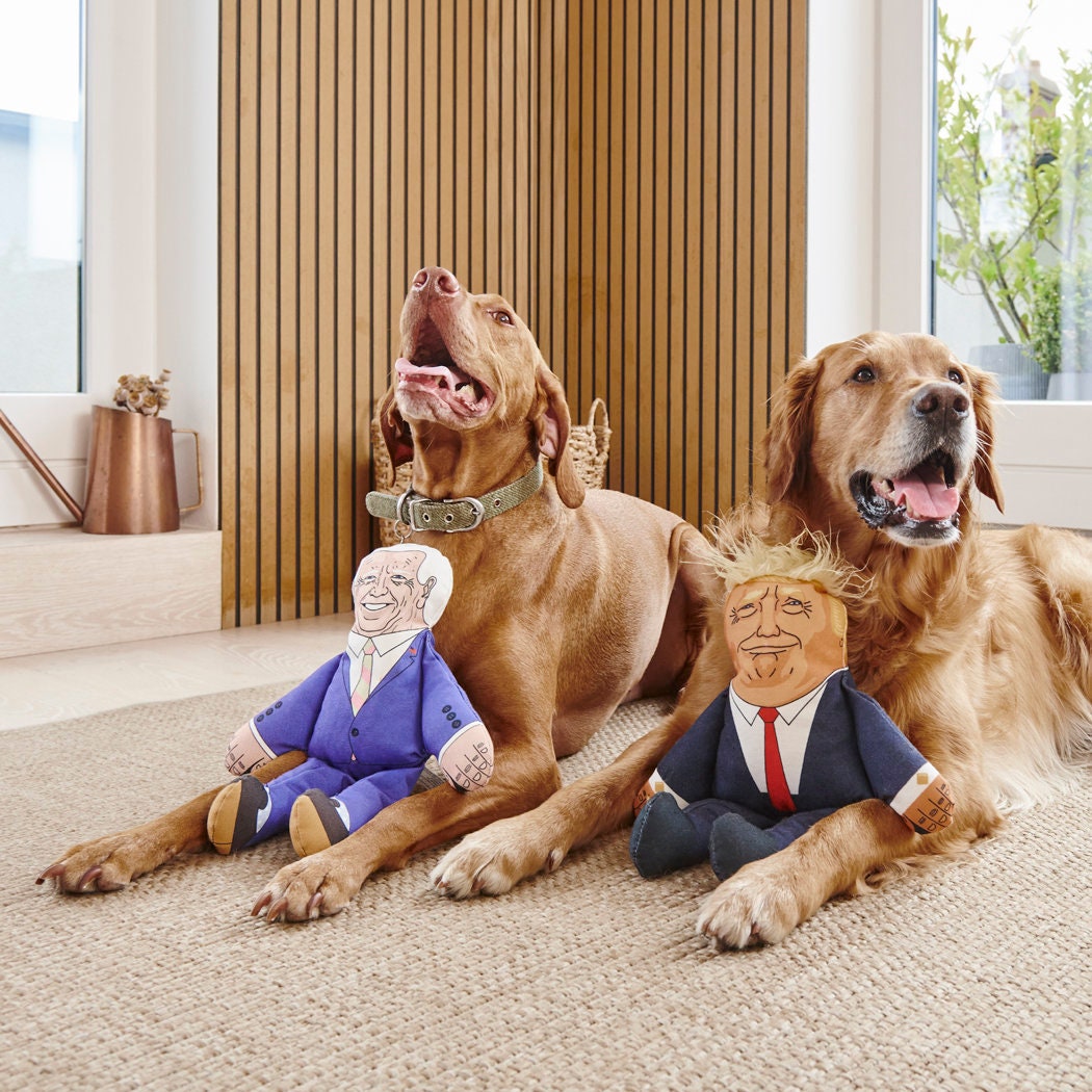 Vizsla and Golden Retriever with Trump and Biden parody dog toys — funny political squeaky dog toys, gift for dog lovers
